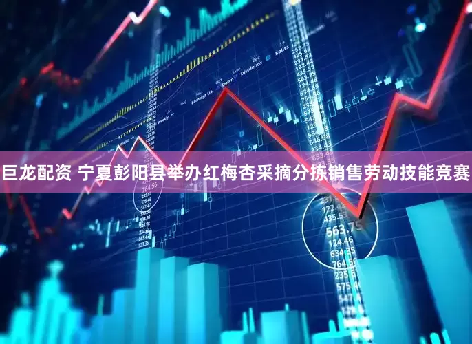 巨龙配资 宁夏彭阳县举办红梅杏采摘分拣销售劳动技能竞赛