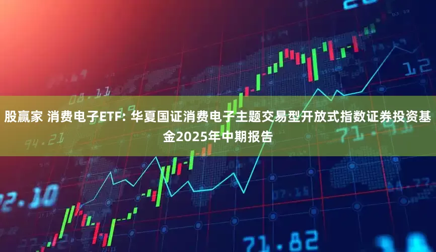股赢家 消费电子ETF: 华夏国证消费电子主题交易型开放式指数证券投资基金2025年中期报告